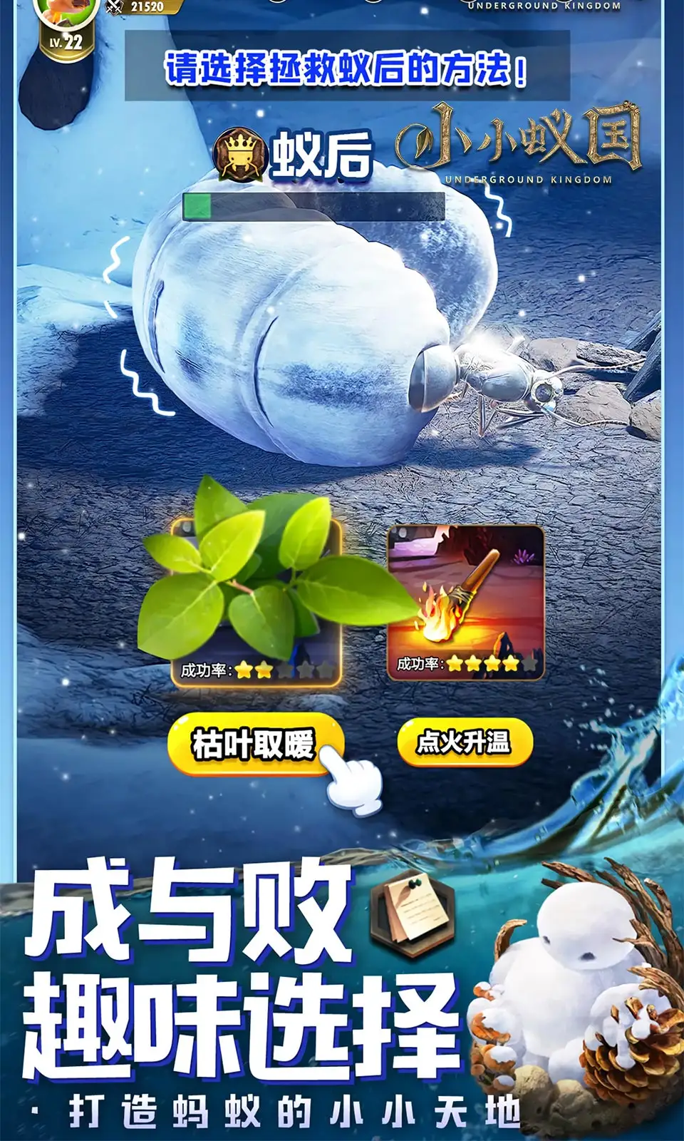 小小蚁国