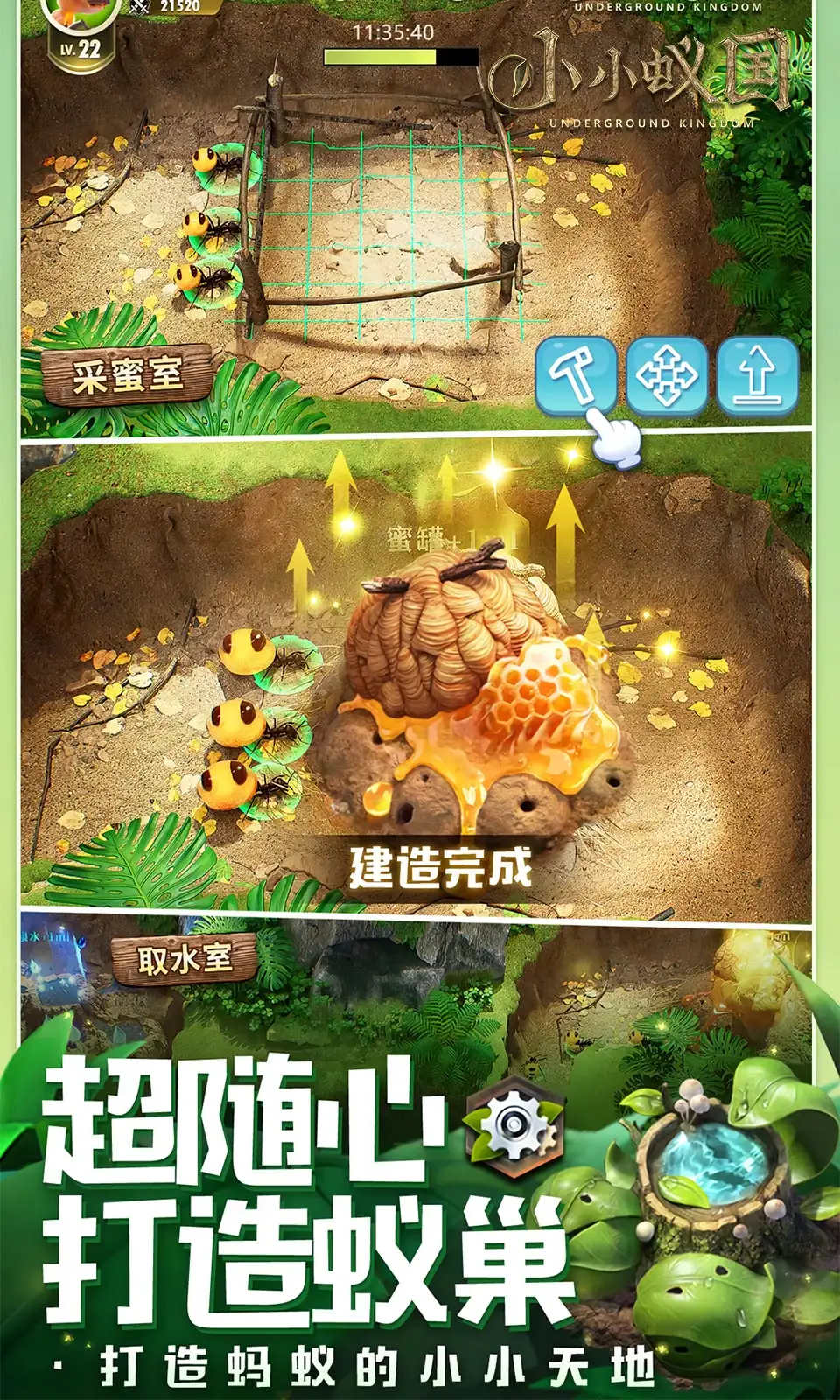 小小蚁国