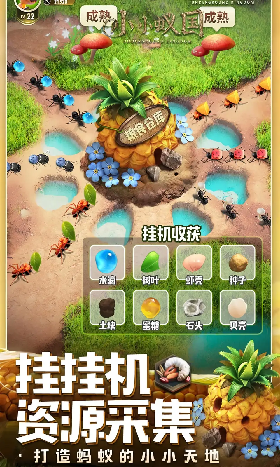 小小蚁国