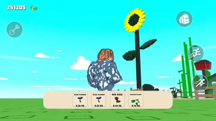 种植花园