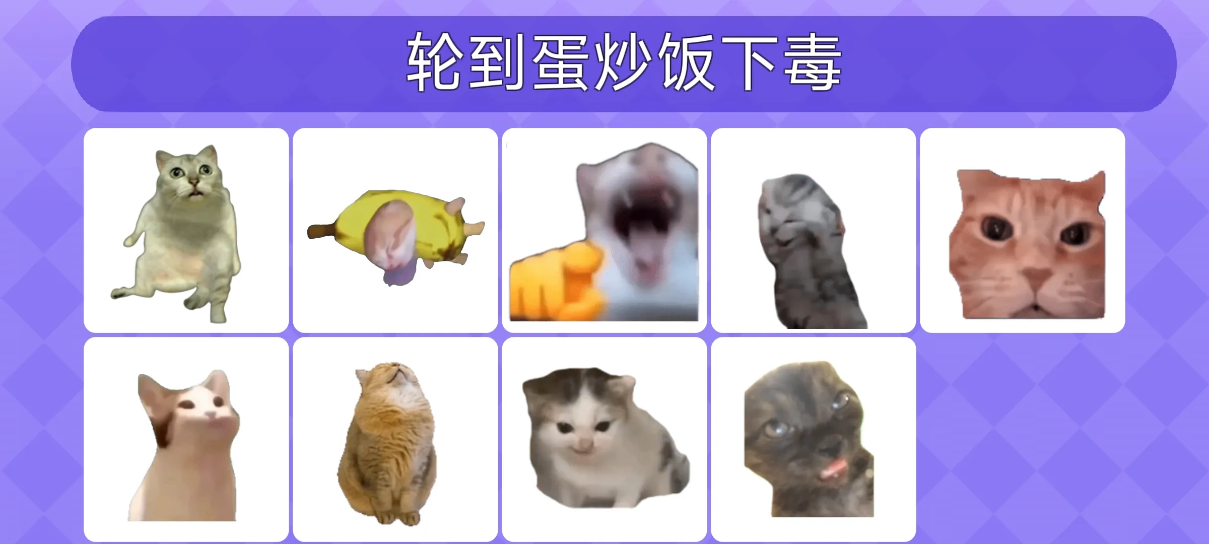 Meme的毒药