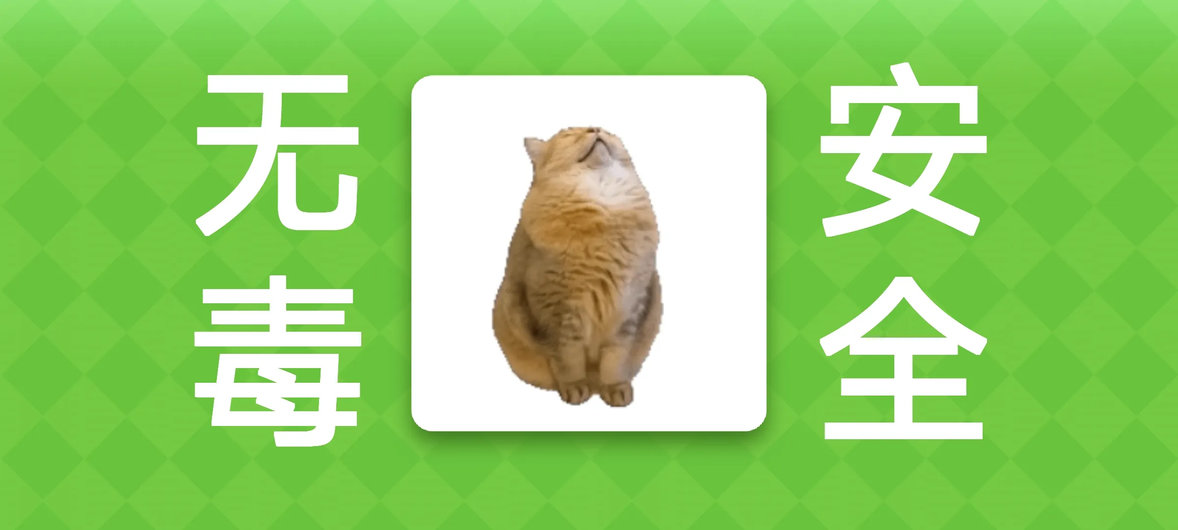 Meme的毒药