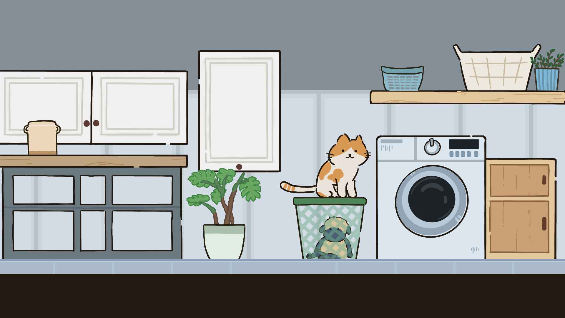 猫在家里 猫在家里