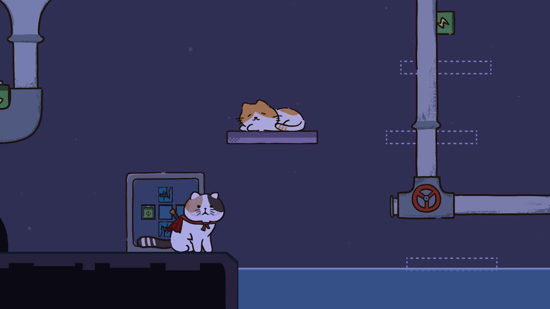 猫在家里 猫在家里