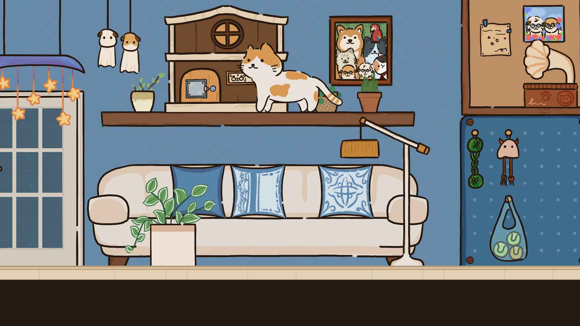 猫在家里 猫在家里