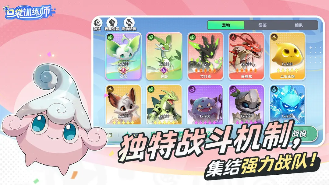 口袋训练师
