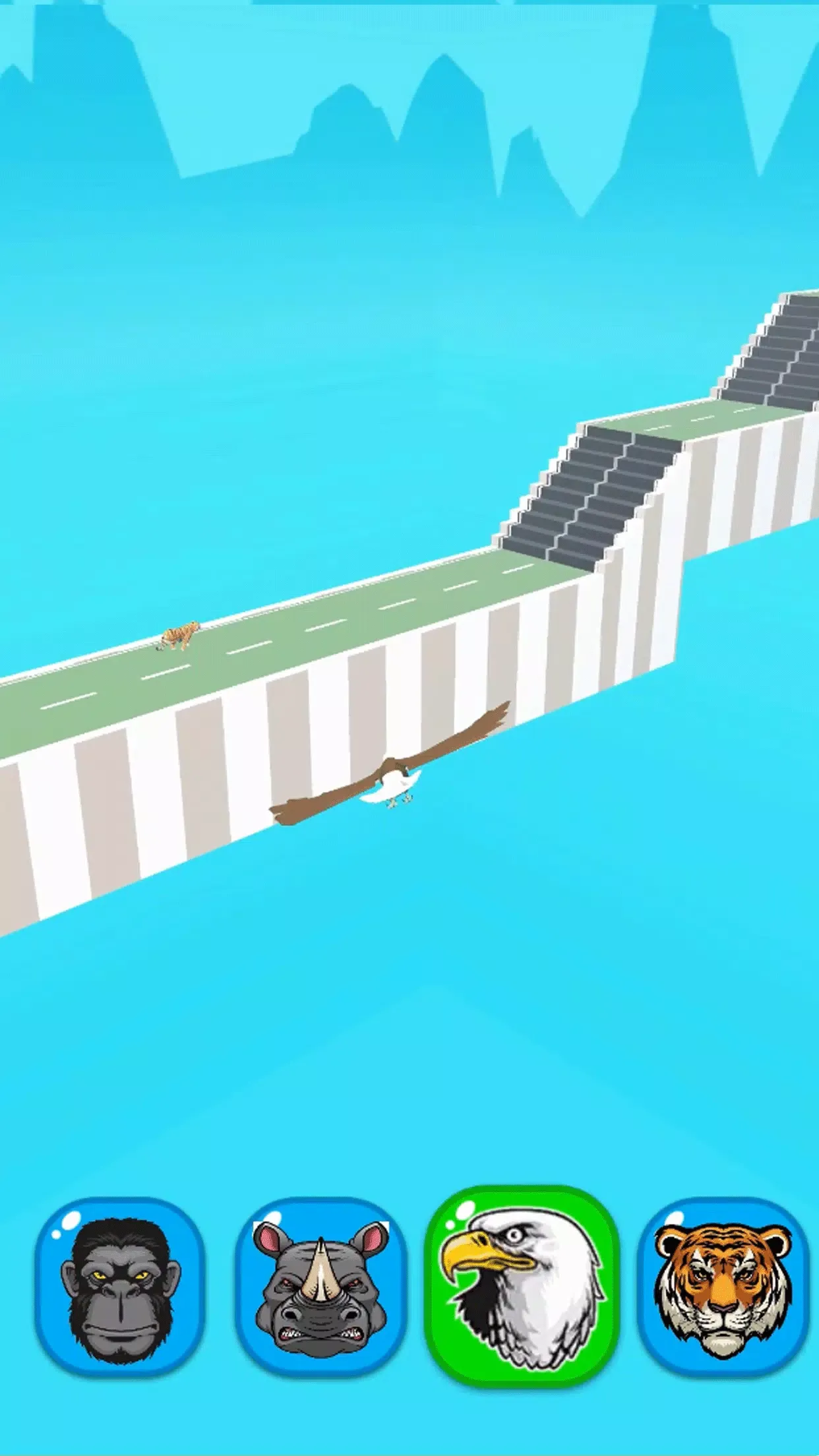 动物赛跑