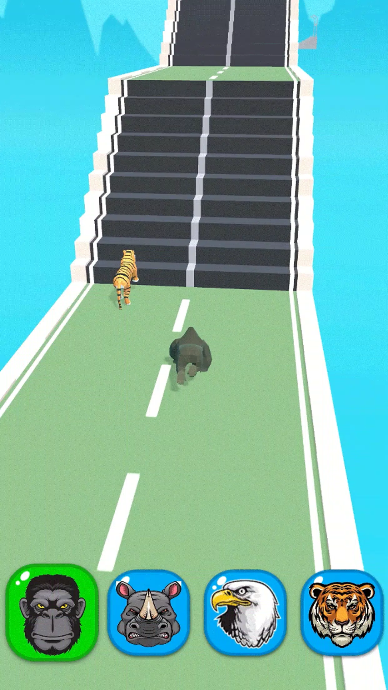 动物赛跑