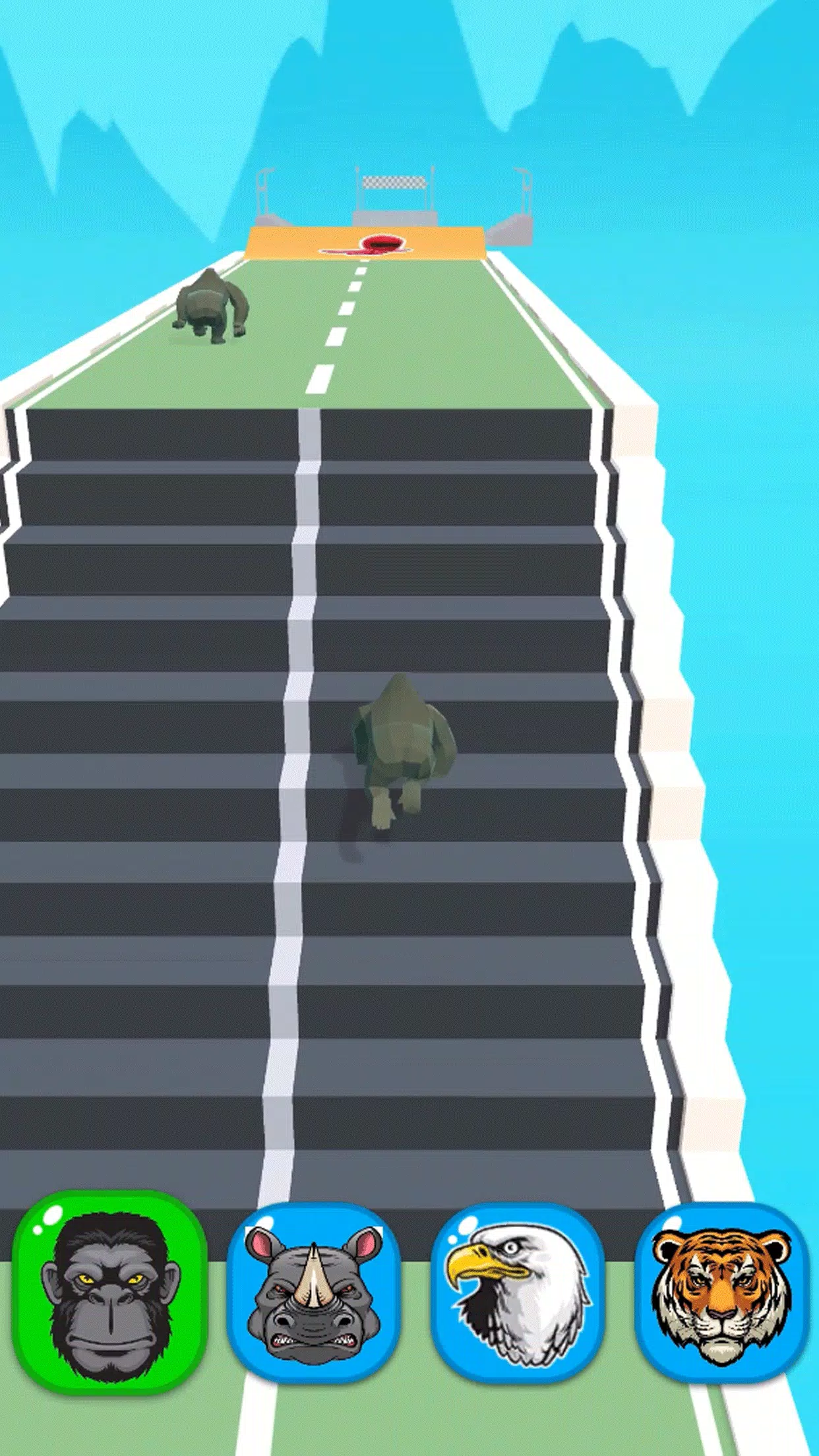动物赛跑