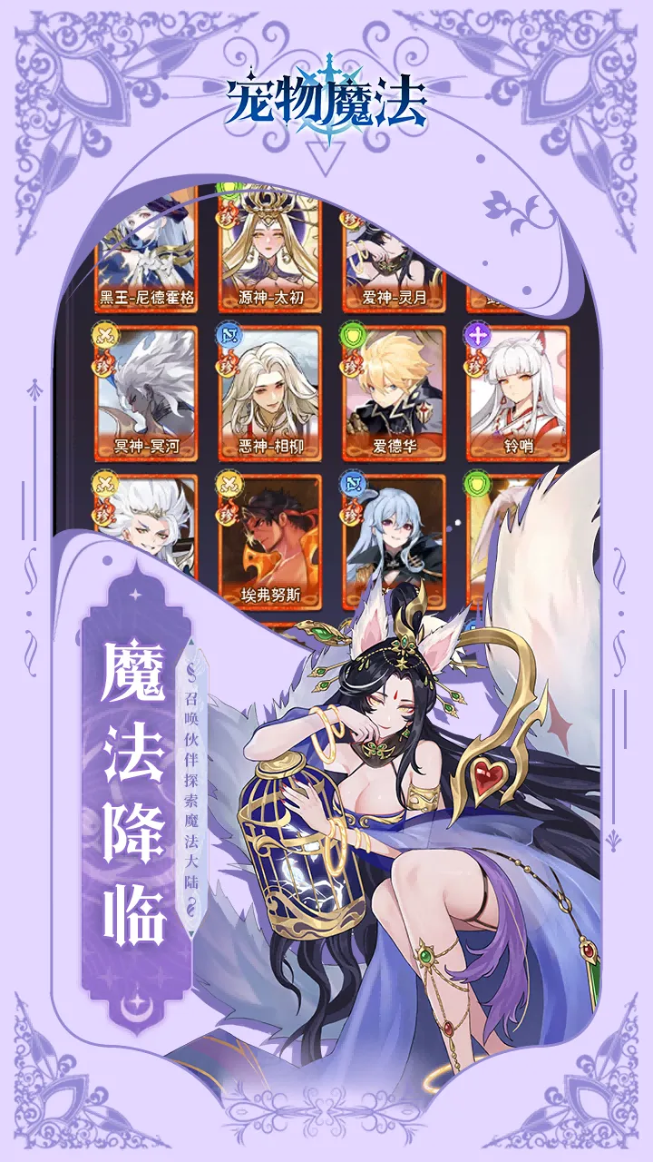 宠物魔法