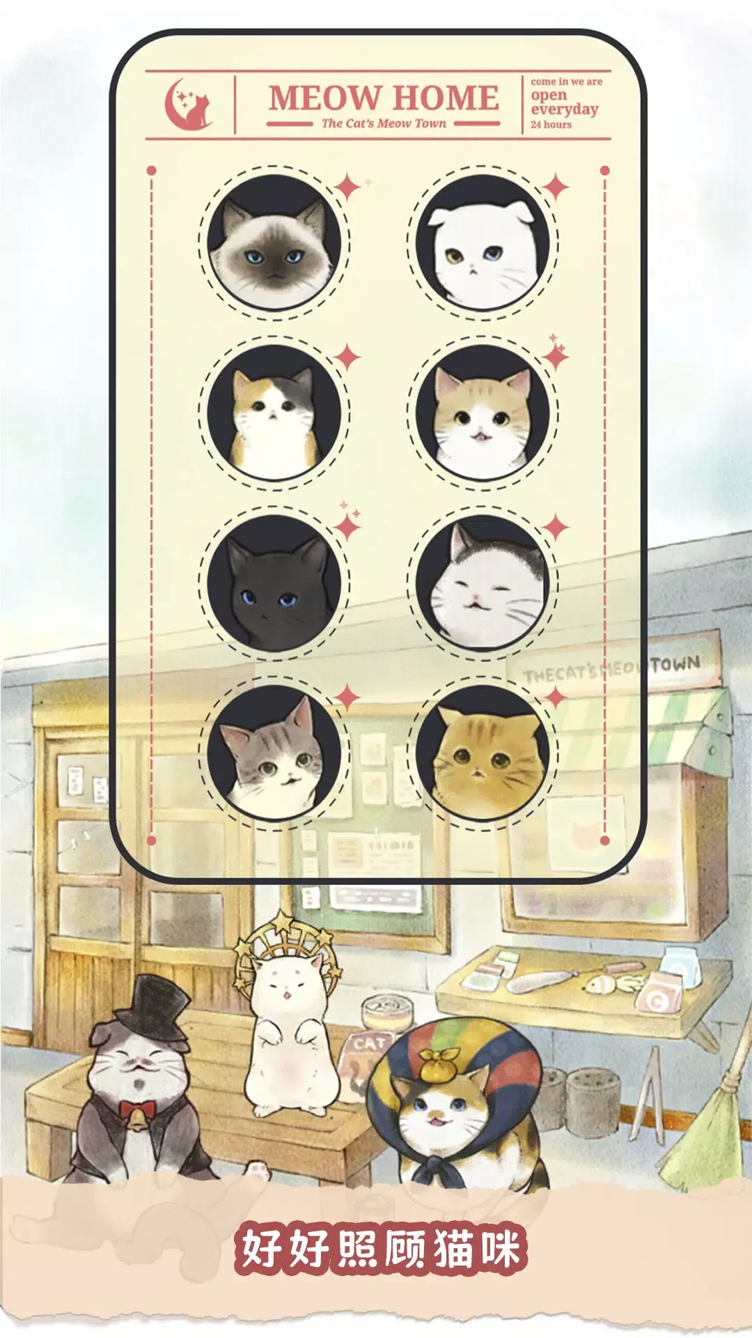 猫咪天堂 猫咪天堂