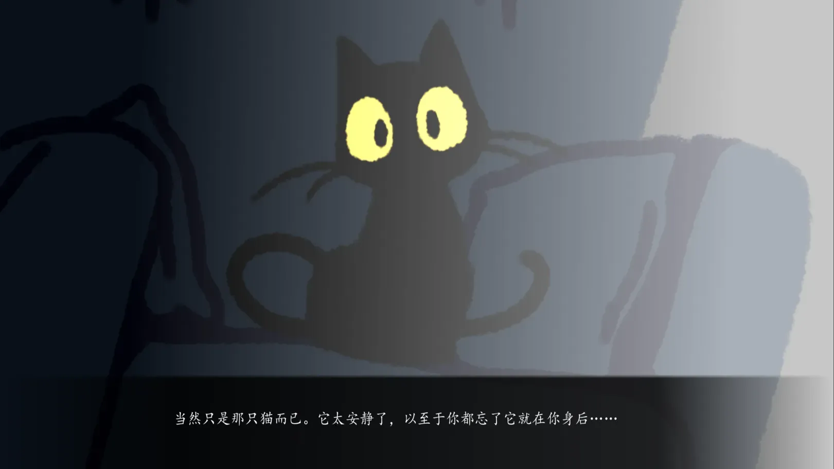 别带这只猫回家