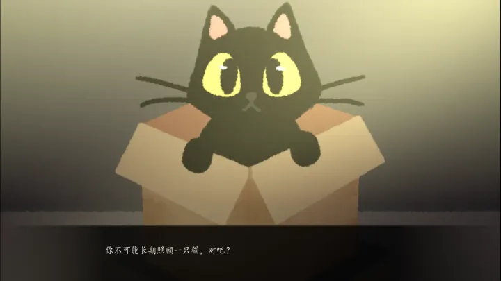 别带这只猫回家