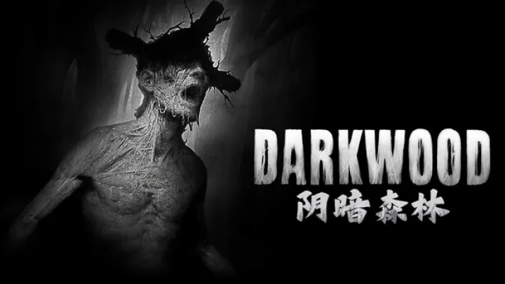 阴暗森林 阴暗森林