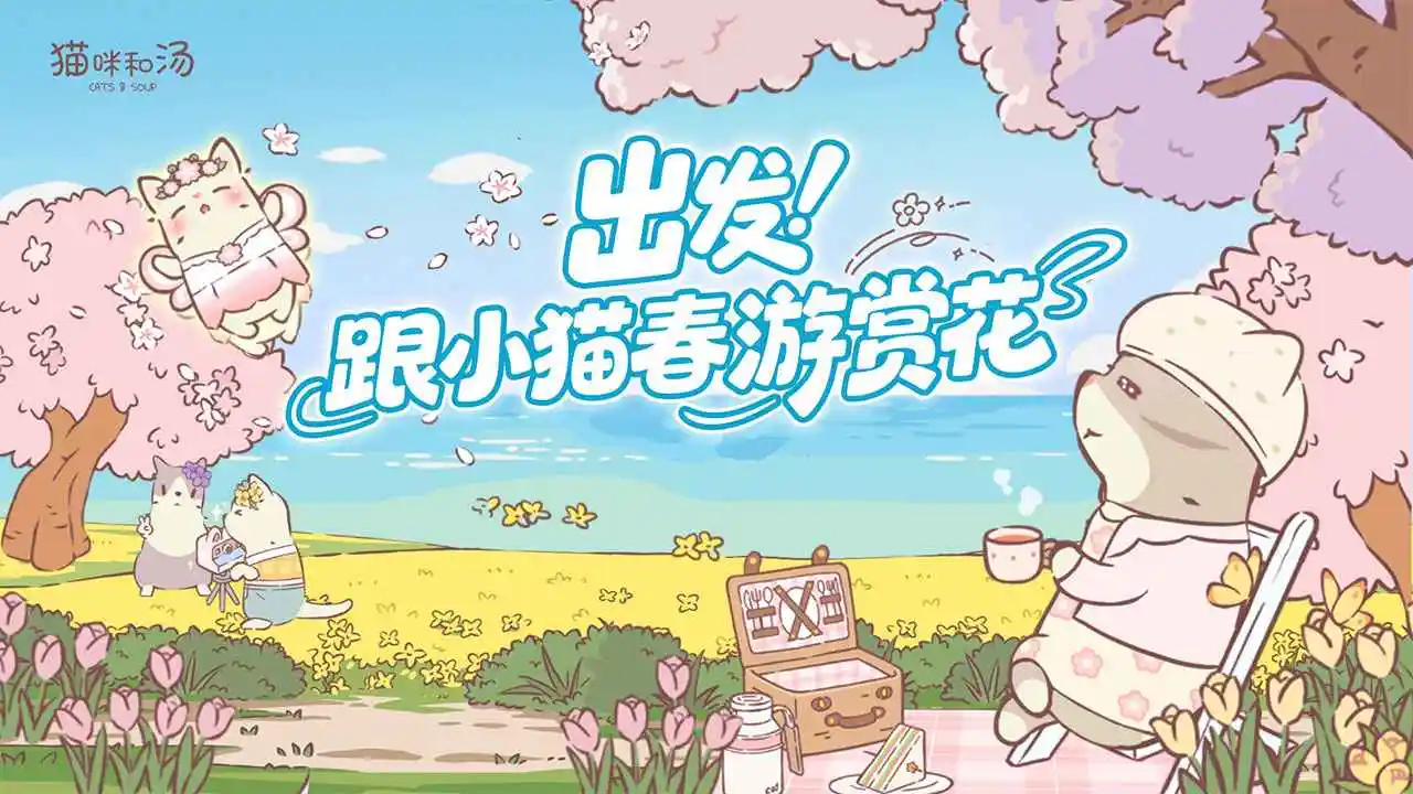 猫咪和汤