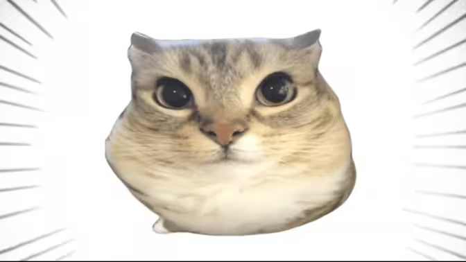 巴巴博一