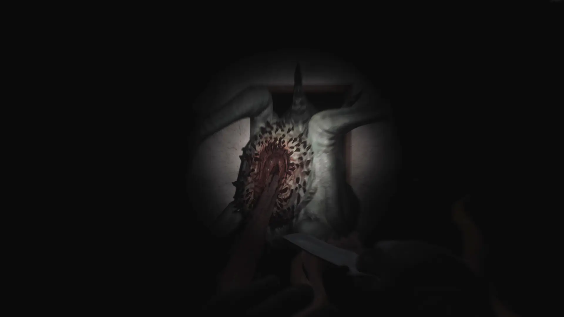 SCP:5K