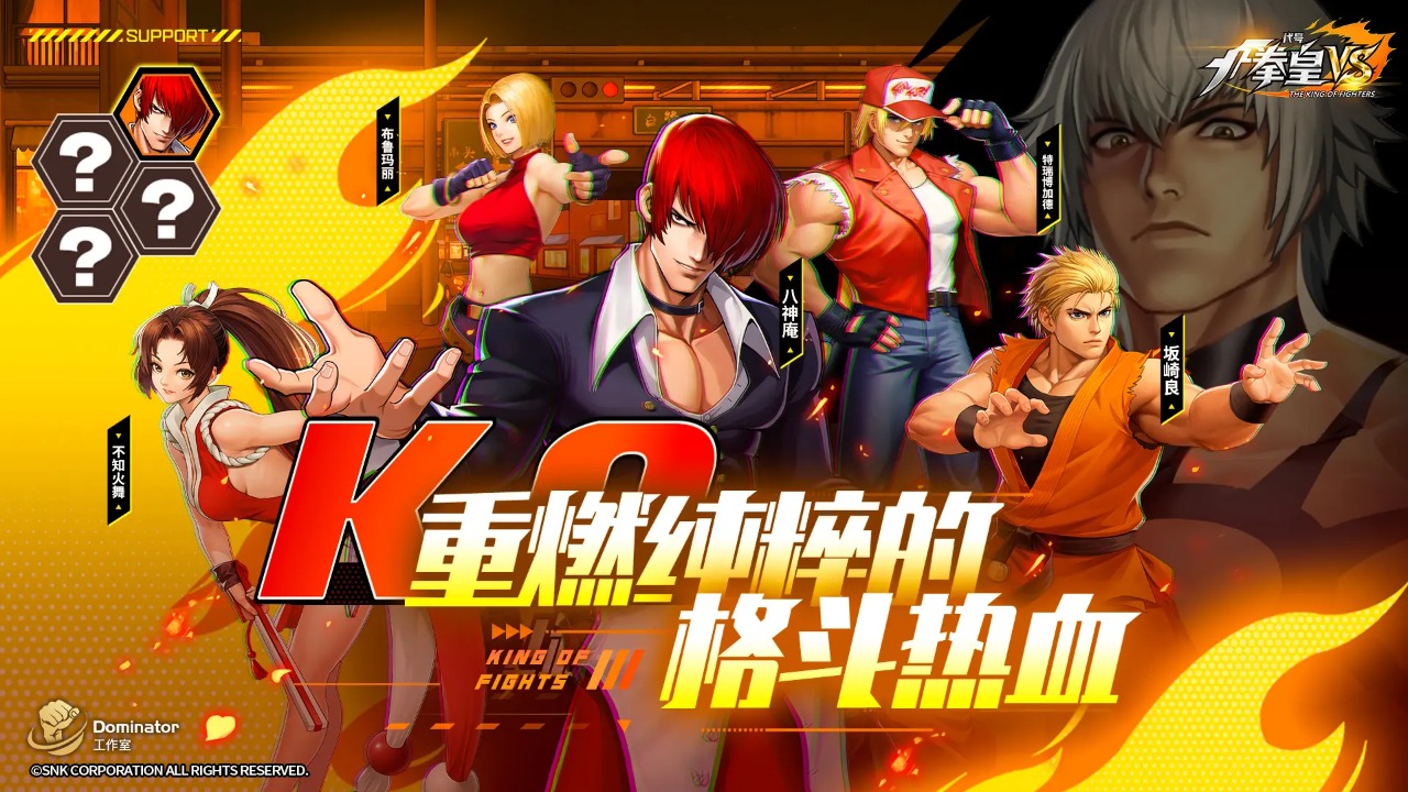 代号：拳皇VS