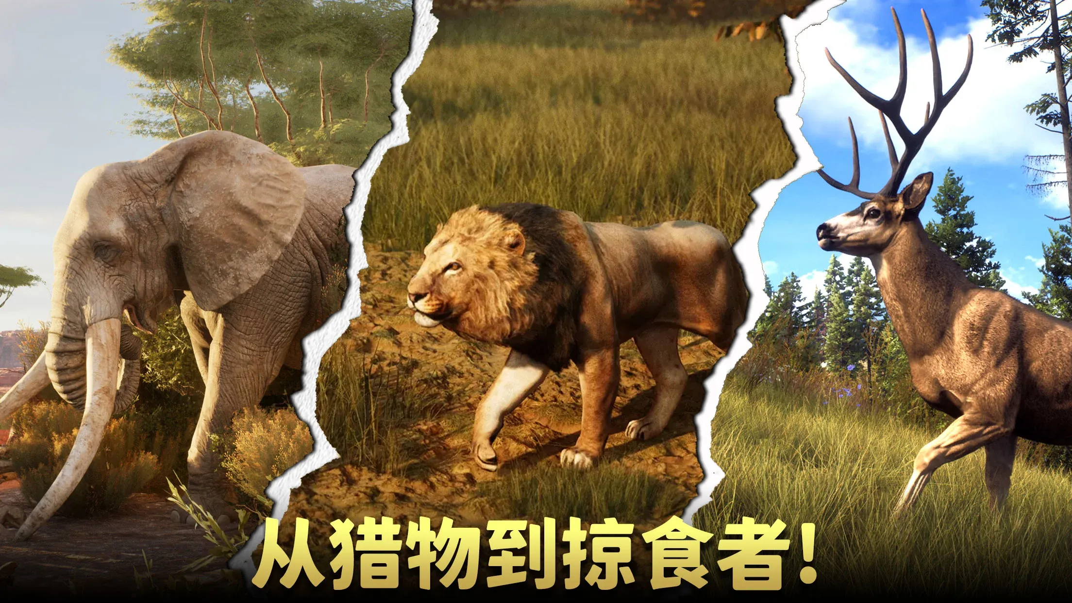 动物猎人：荒野狙击手