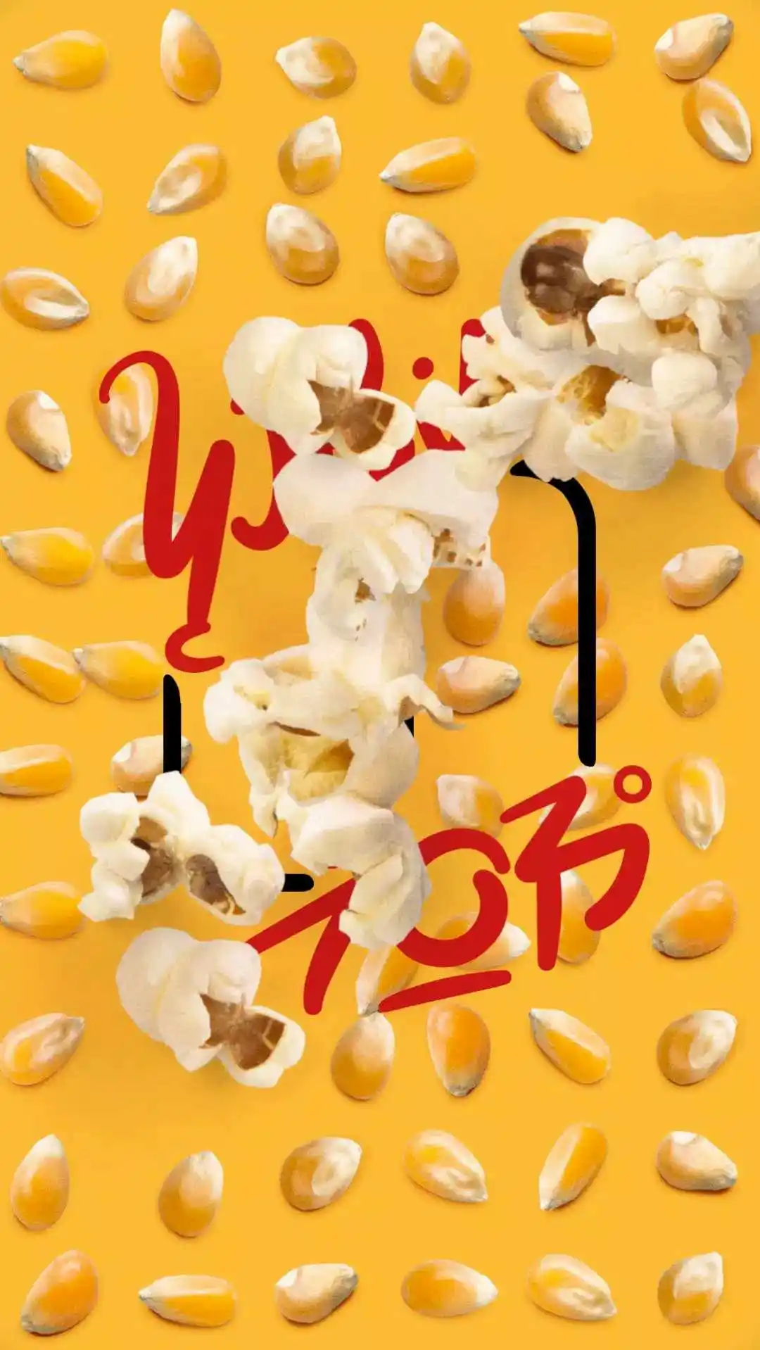 绽放之歌