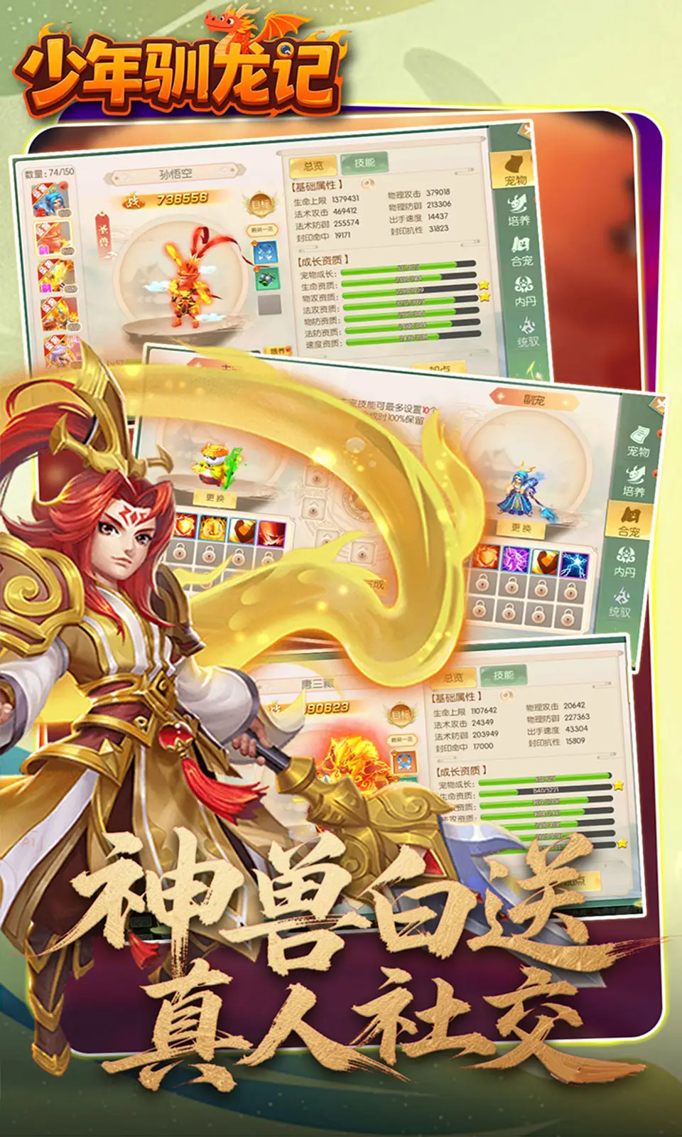 少年驯龙记