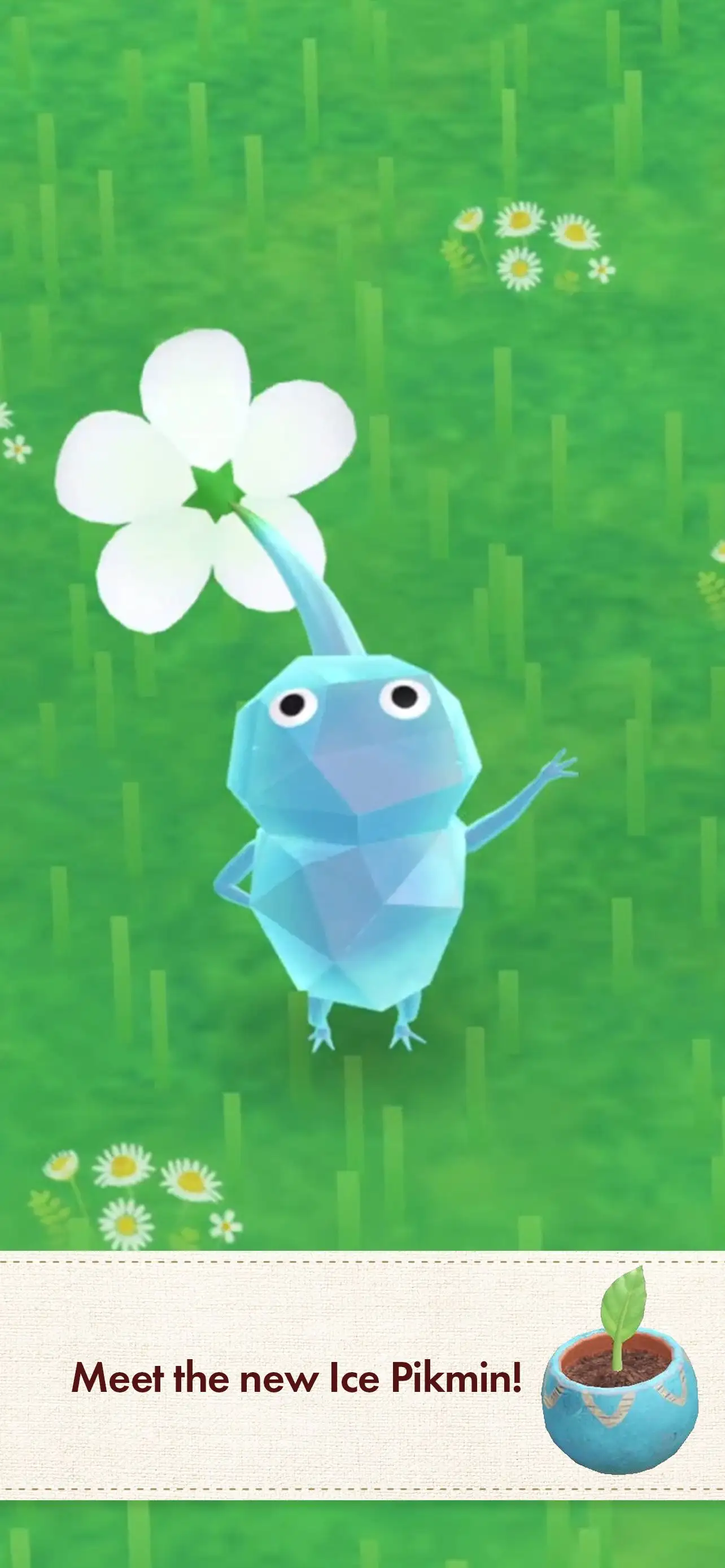 PikminBloom皮克敏：活力绽放(国际服)