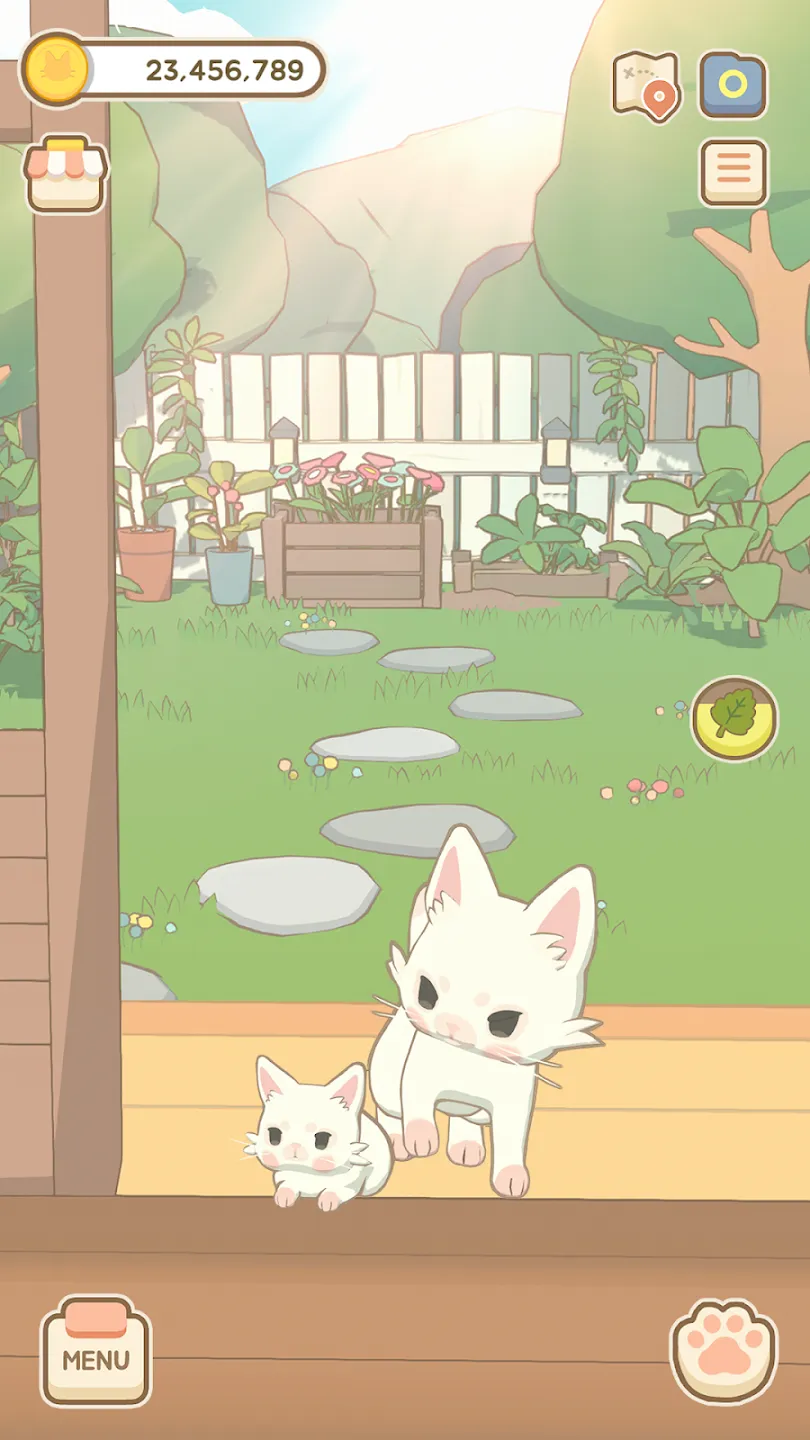 窗外的猫 窗外的猫