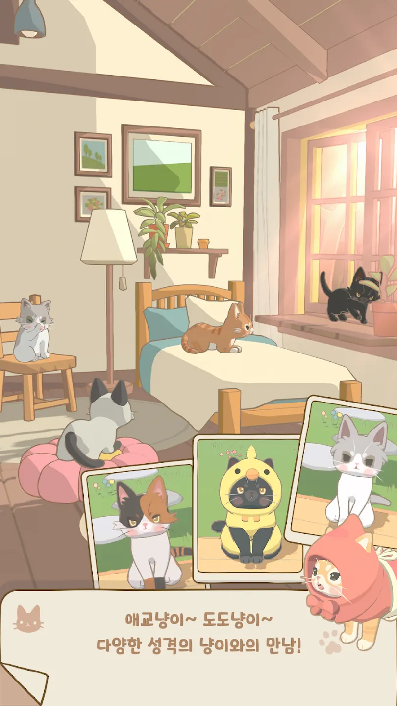 窗外的猫 窗外的猫
