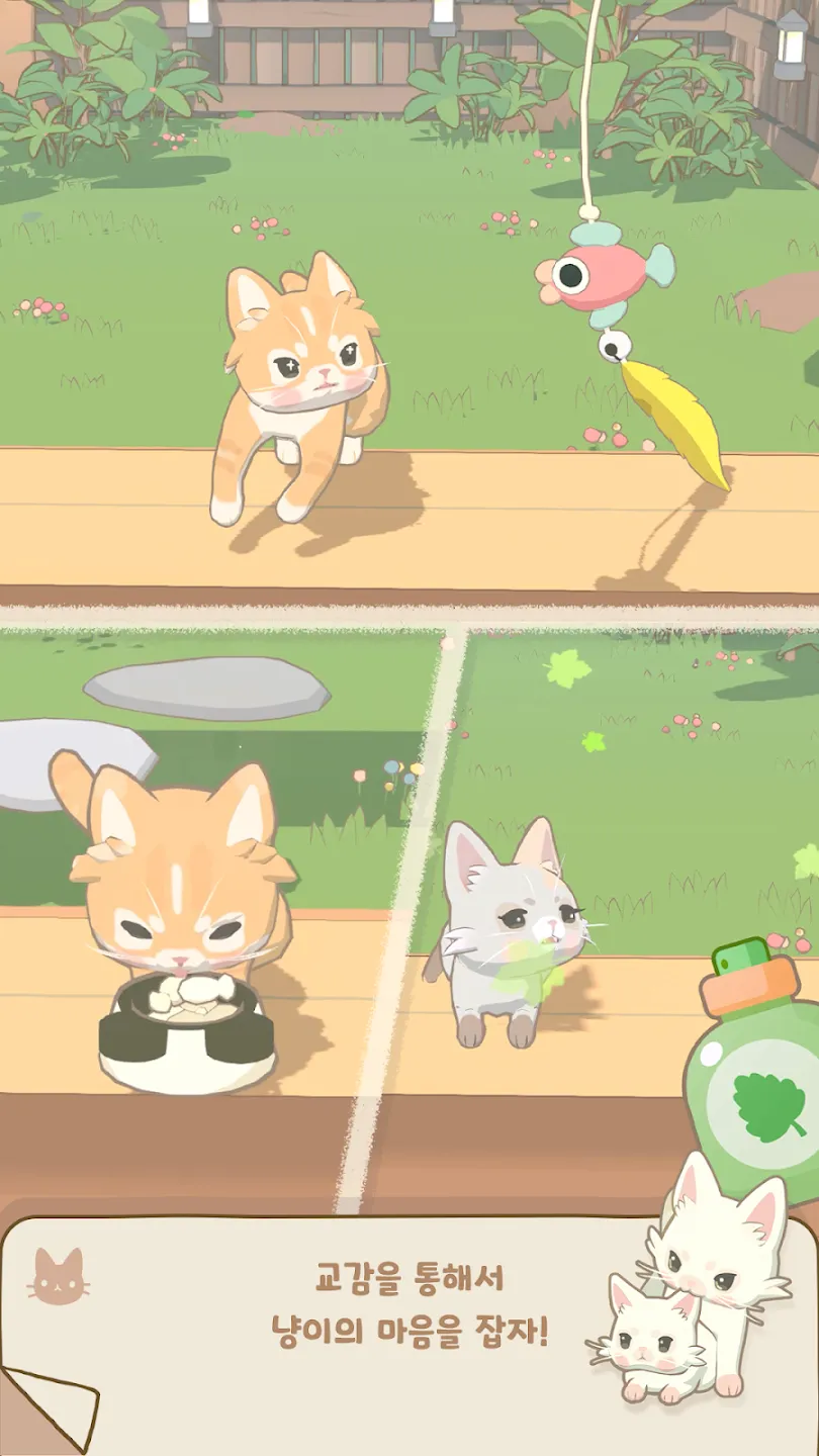 窗外的猫 窗外的猫