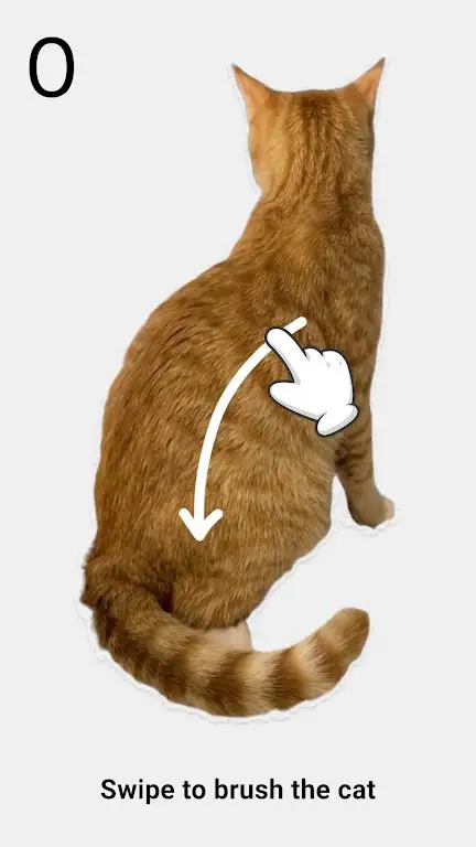 给猫梳毛2