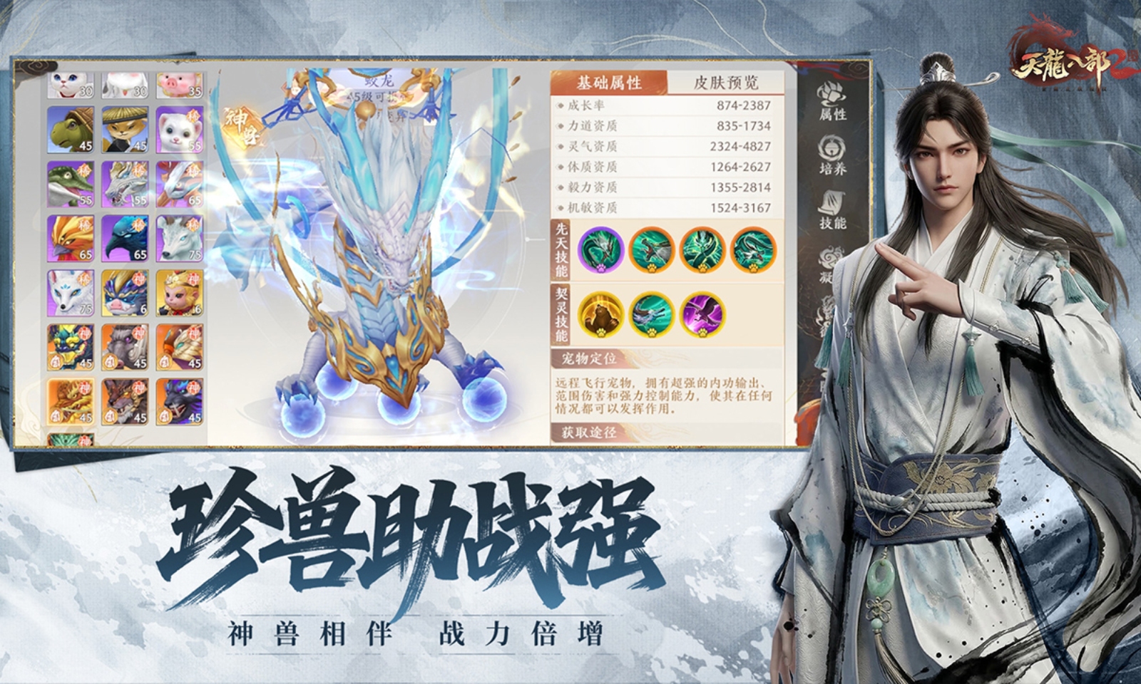 天龙八部2：飞龙战天