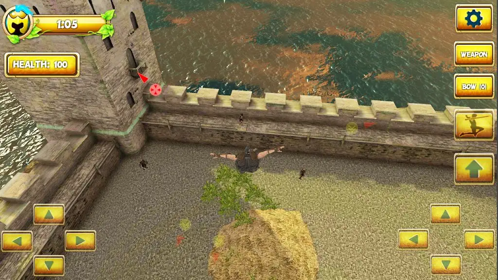 忍者武士英雄2