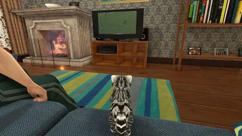 猫咪模拟器 猫咪模拟器