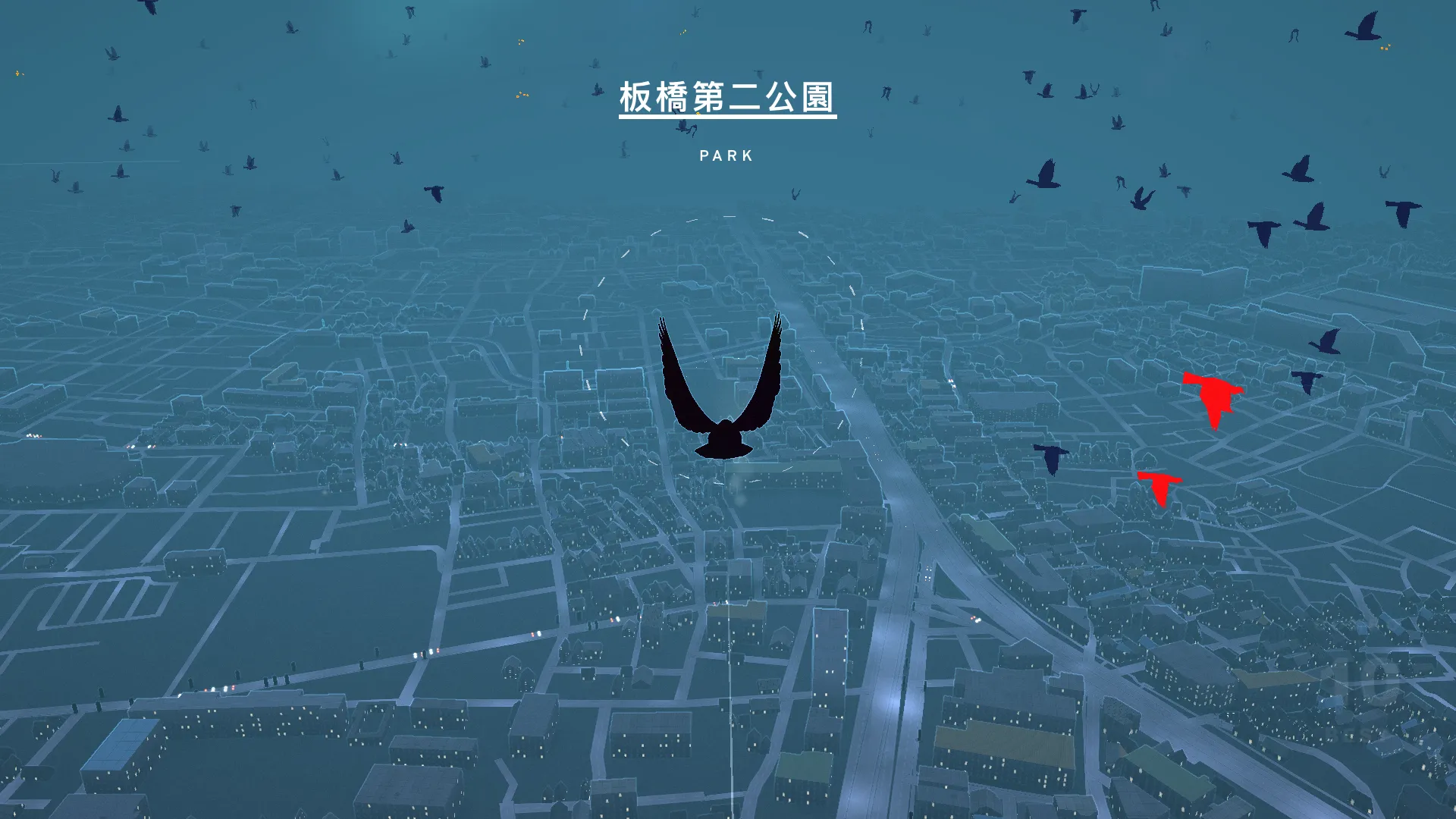 鸽子:一段爱情故事 鸽子:一段爱情故事