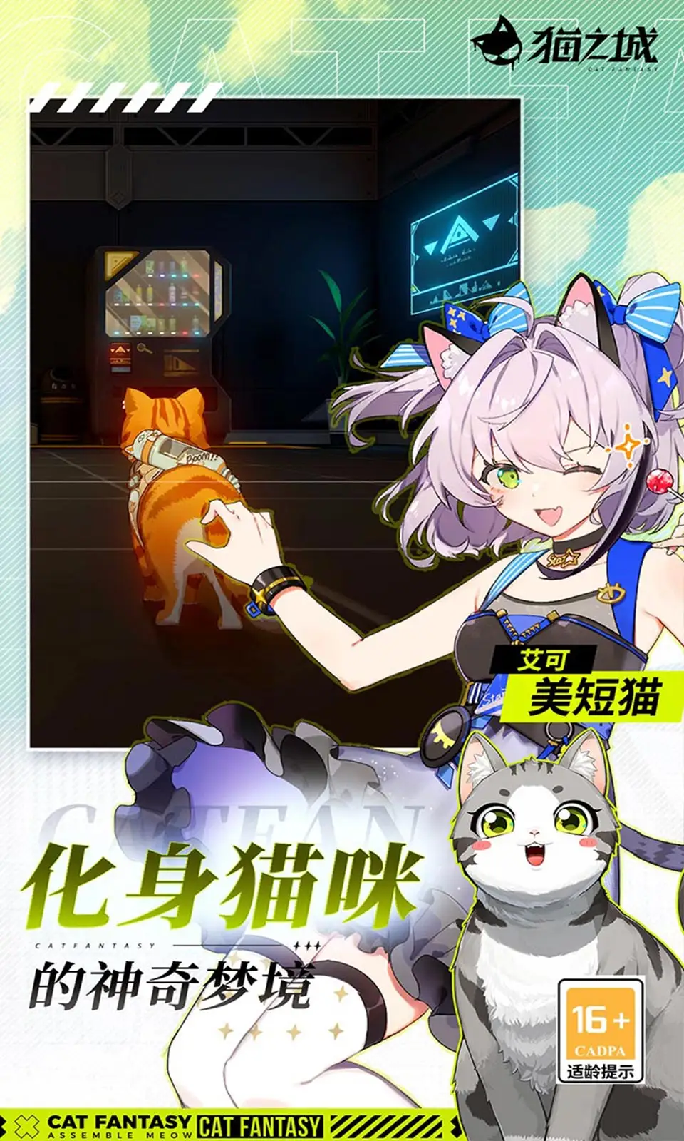 猫之城