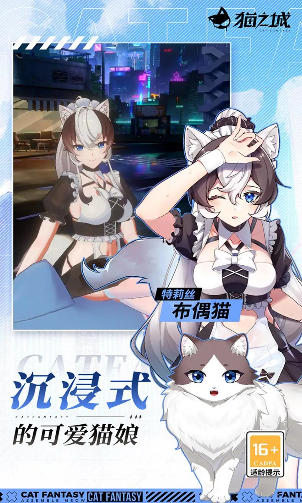 猫之城