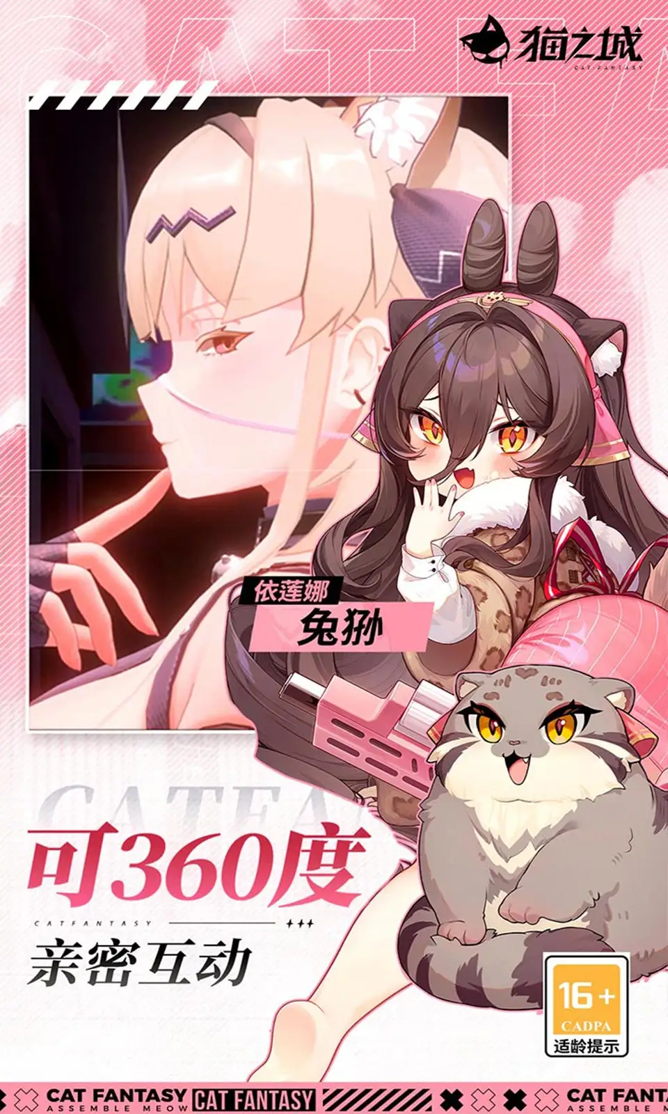 猫之城
