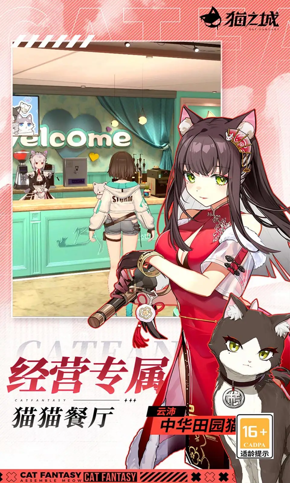 猫之城