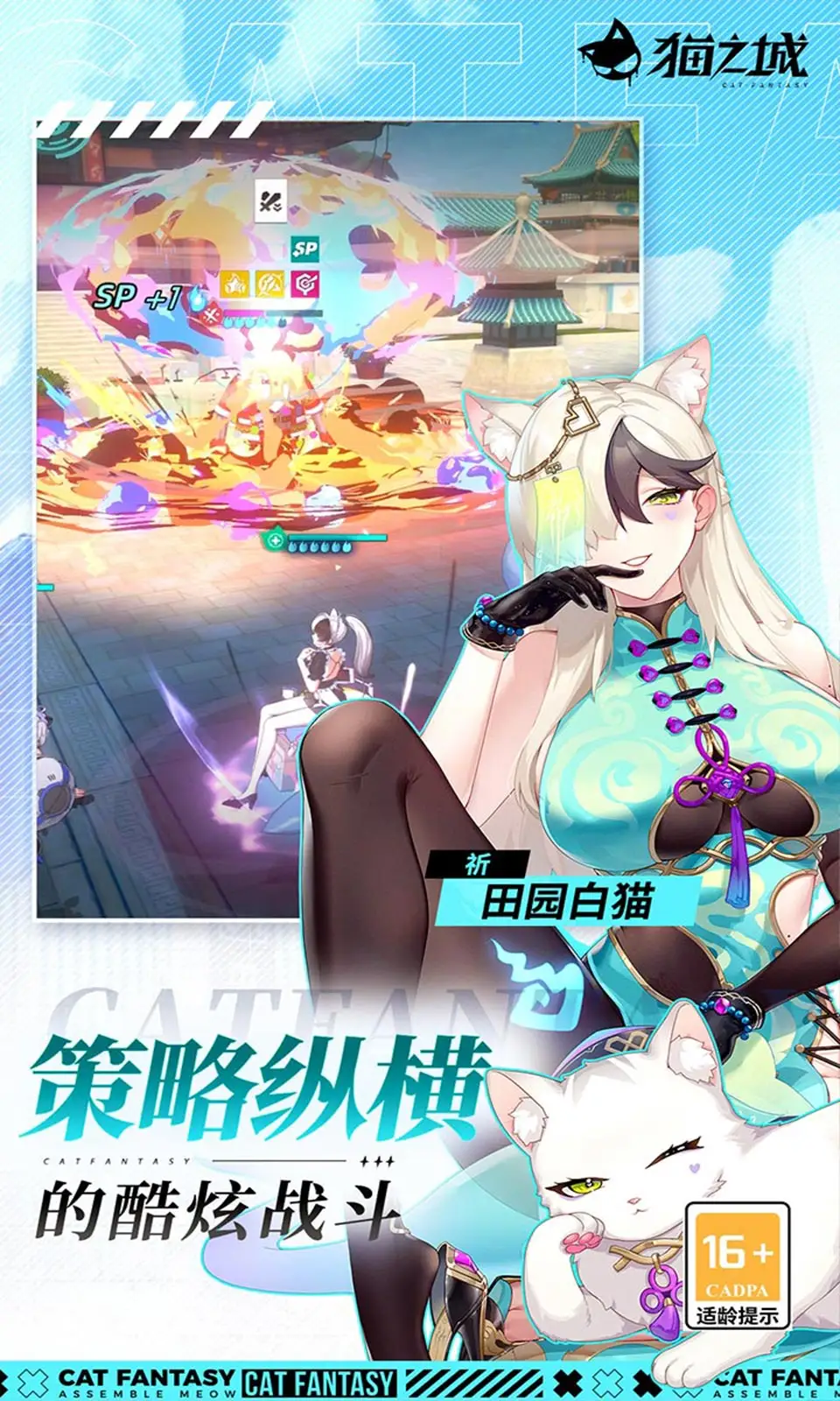 猫之城