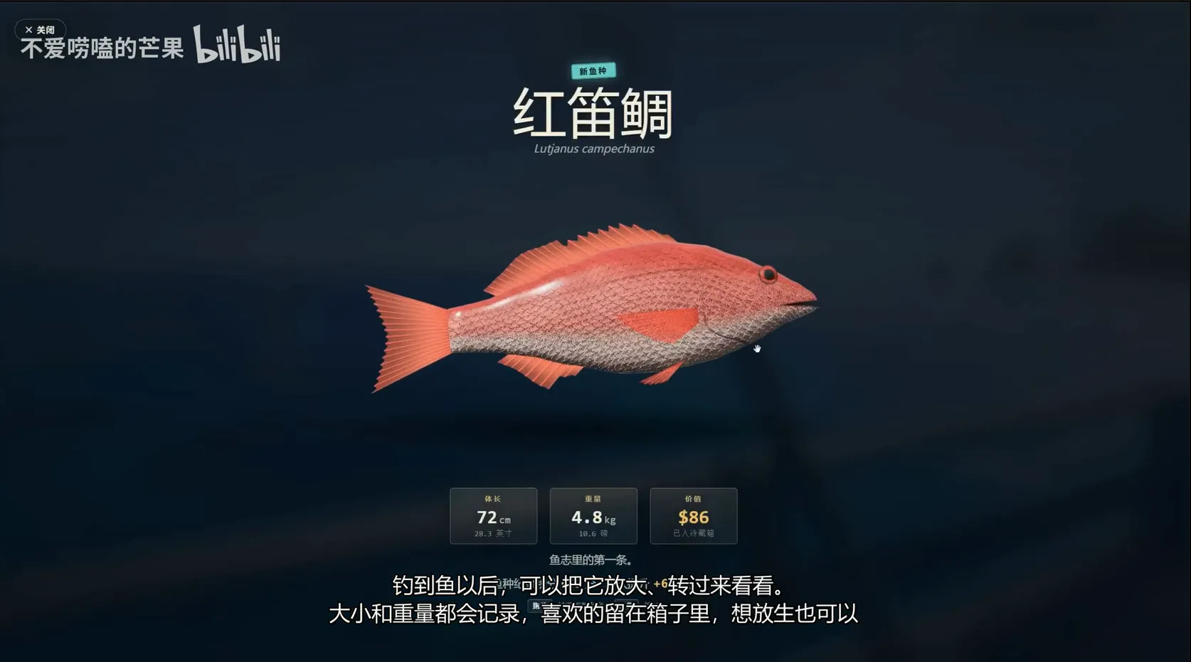 潮汐岛钓鱼