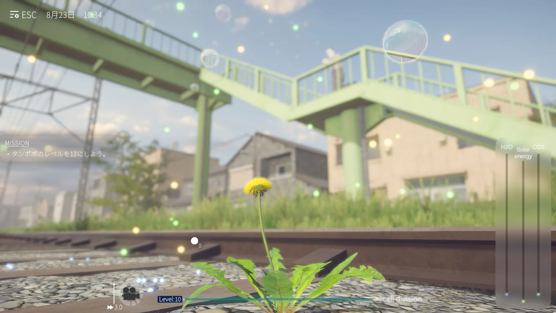 蒲公英不屈(steam移植)