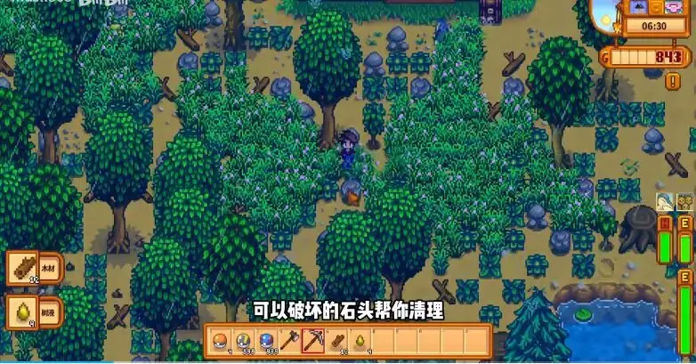 星露谷物语宝可梦(steam移植) 星露谷物语宝可梦(steam移植)