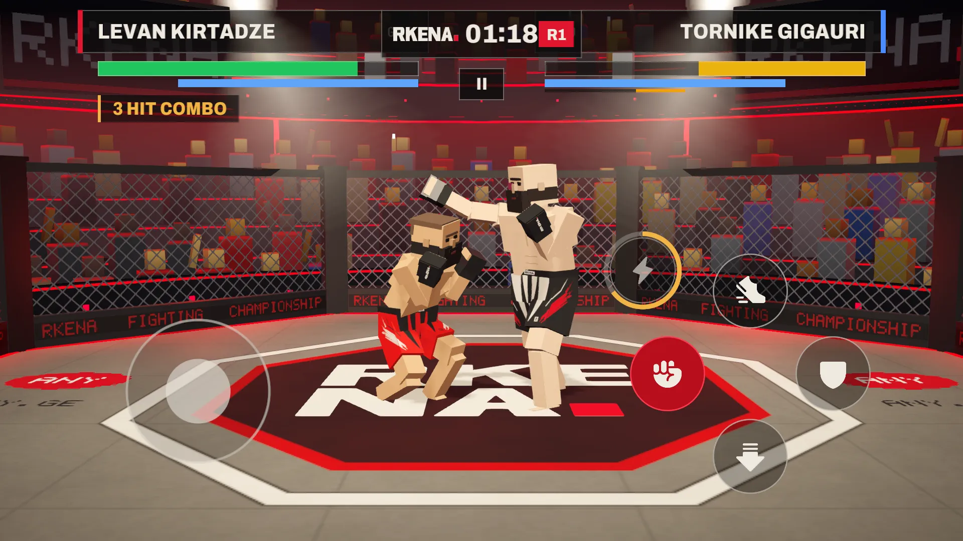 RKENA MMA格斗