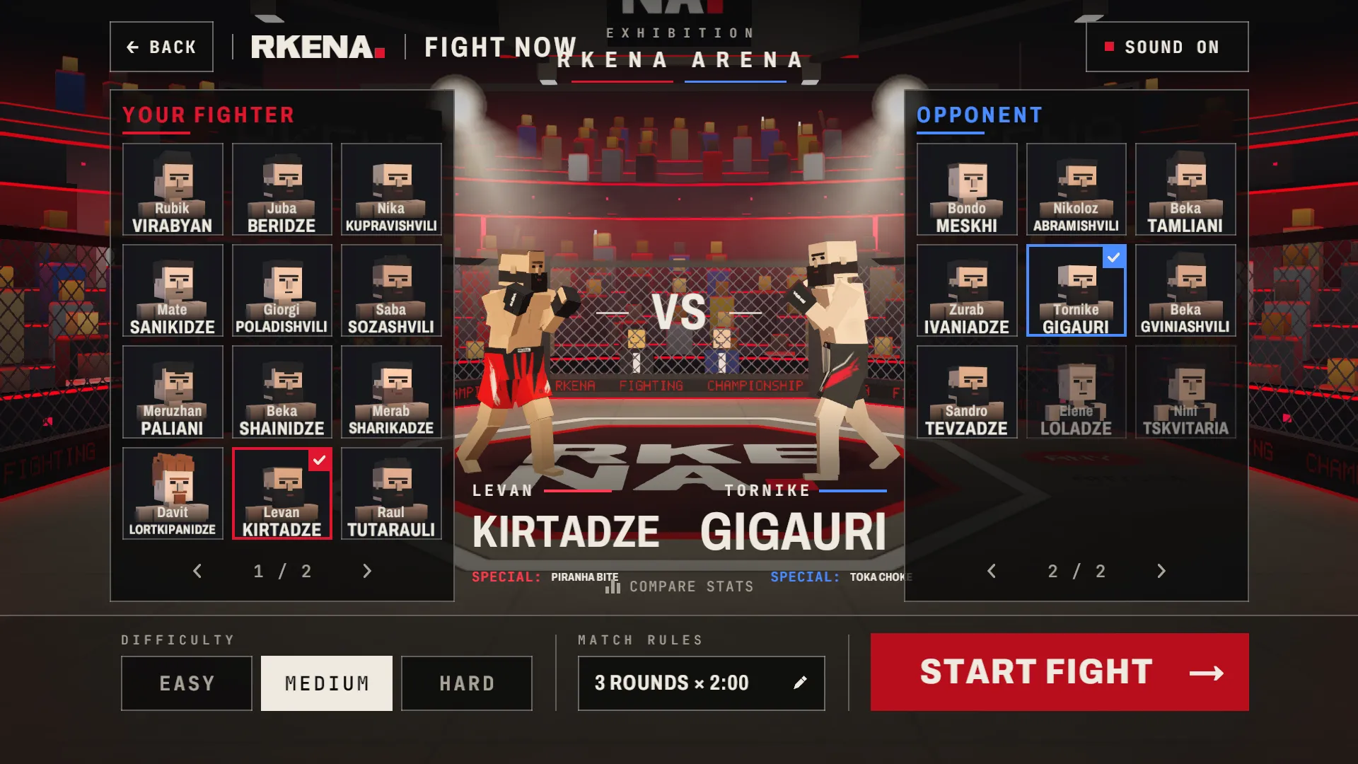 RKENA MMA格斗